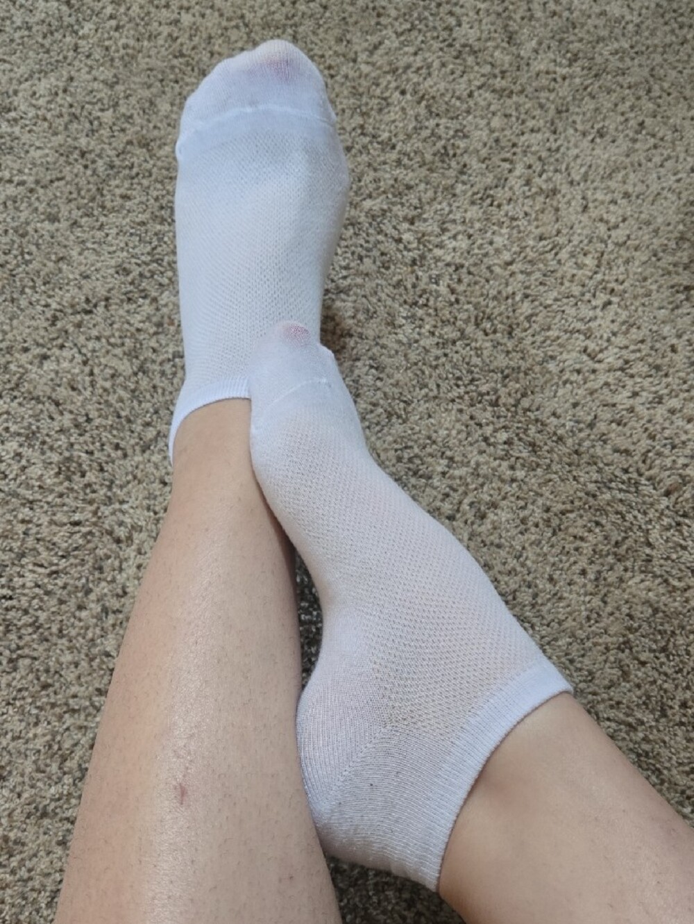 Classic White No-Show Women's Ankle Socks